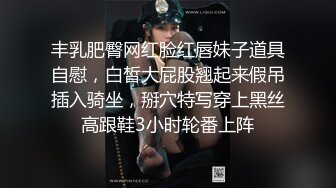 丰乳肥臀网红脸红唇妹子道具自慰，白皙大屁股翘起来假吊插入骑坐，掰穴特写穿上黑丝高跟鞋3小时轮番上阵