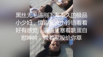 黑丝无毛逼刚下海不久的极品小少妇，情趣乳夹小铃铛看着好有感觉，逼逼里塞着跳蛋自慰呻吟，撅着屁股给你草