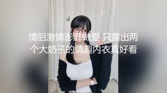 OnlyFan 美丽的女秘书