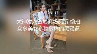 大神潜入各地商场厕所 偷拍众多美女多种多样的黑骚逼