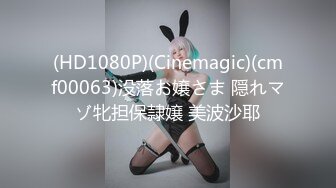 (HD1080P)(Cinemagic)(cmf00063)没落お嬢さま 隠れマゾ牝担保隷嬢 美波沙耶