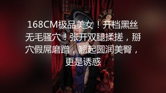 168CM极品美女！开档黑丝无毛骚穴！张开双腿揉搓，掰穴假屌磨蹭，翘起圆润美臀，更是诱惑