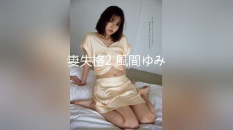 妻失格2 風間ゆみ