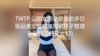 TWTP 公园女厕全景偷拍多位极品美女嘘嘘裹胸裙妹子整理衣服奶又白又大 (3)