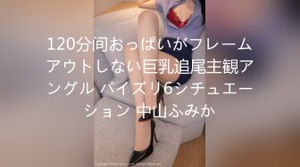 120分间おっぱいがフレームアウトしない巨乳追尾主観アングル パイズリ6シチュエーション 中山ふみか